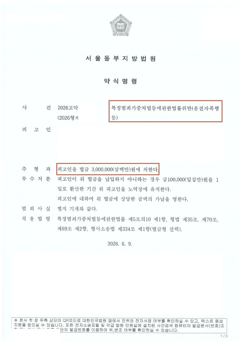 약식명령등본